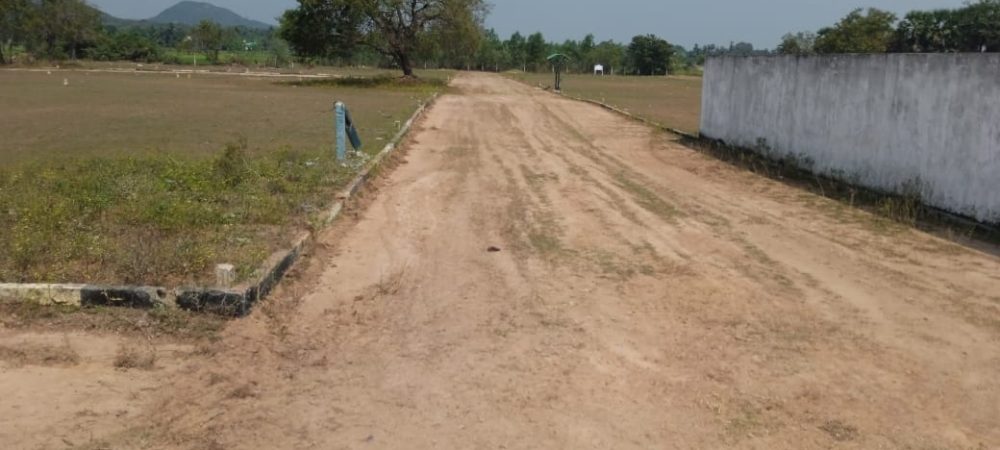 WhatsApp Image 2025-07-23 at 13.23.04_a65f23bd