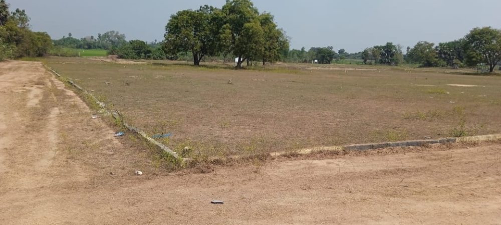 WhatsApp Image 2025-07-23 at 13.23.04_e764900b