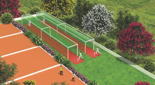 blissful garden cricket pitch