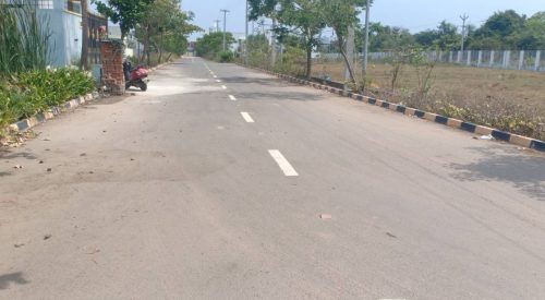 blooming garden elevation