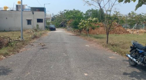 blooming garden plot 1