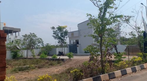 blooming garden plot 17