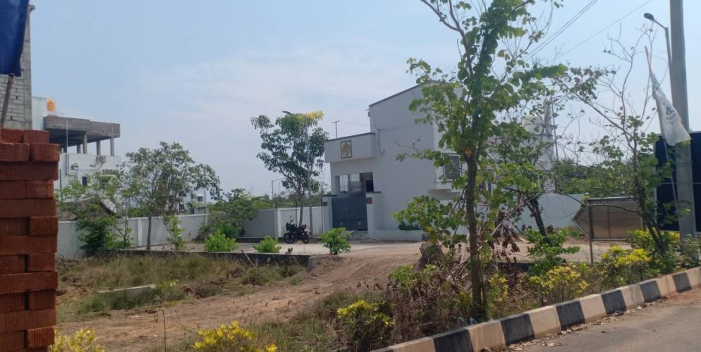 blooming garden plot 17