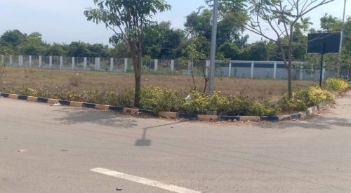 blooming garden plot 3