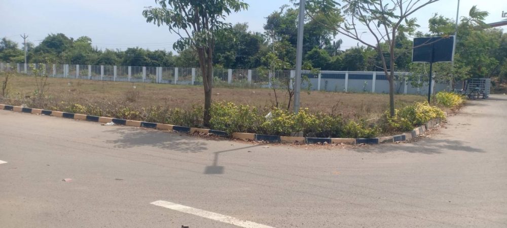 blooming garden plot 3