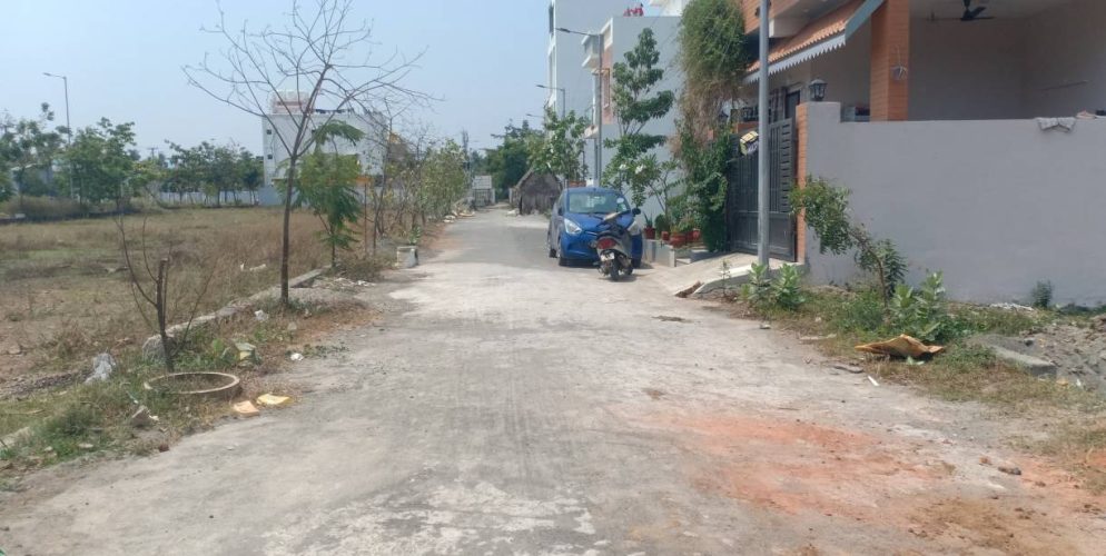 blooming garden plot 6