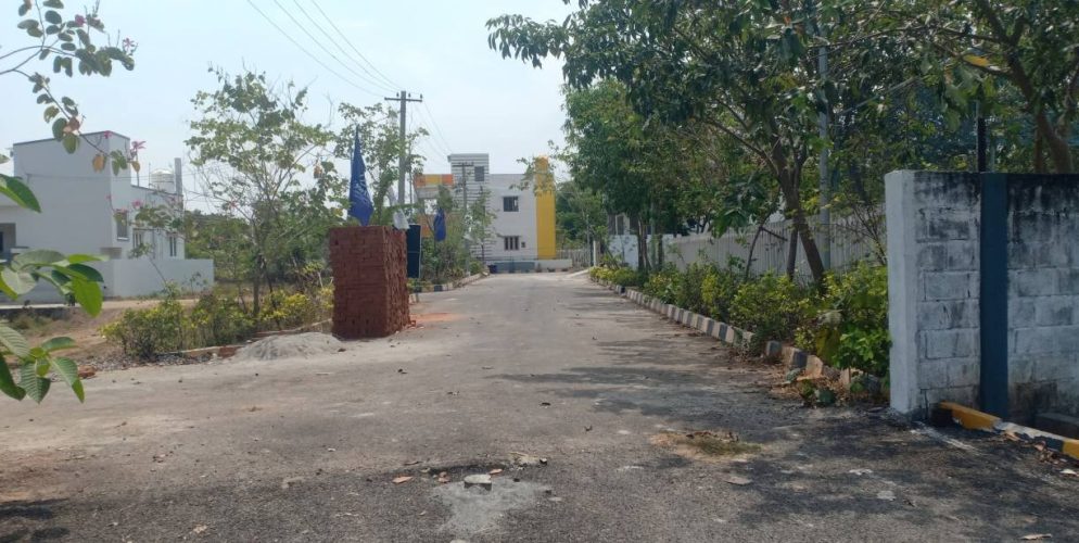 blooming garden plot 8