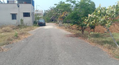 blooming garden plot 9