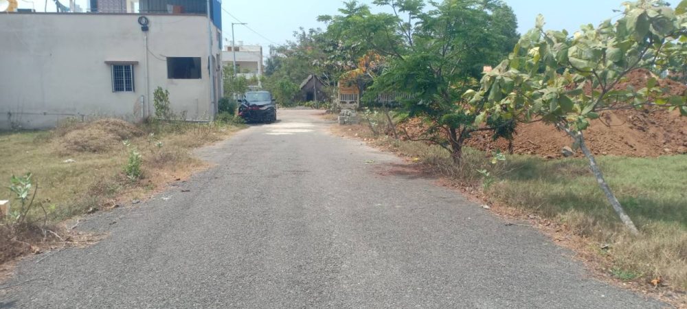 blooming garden plot 9