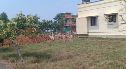 blooming garden plot