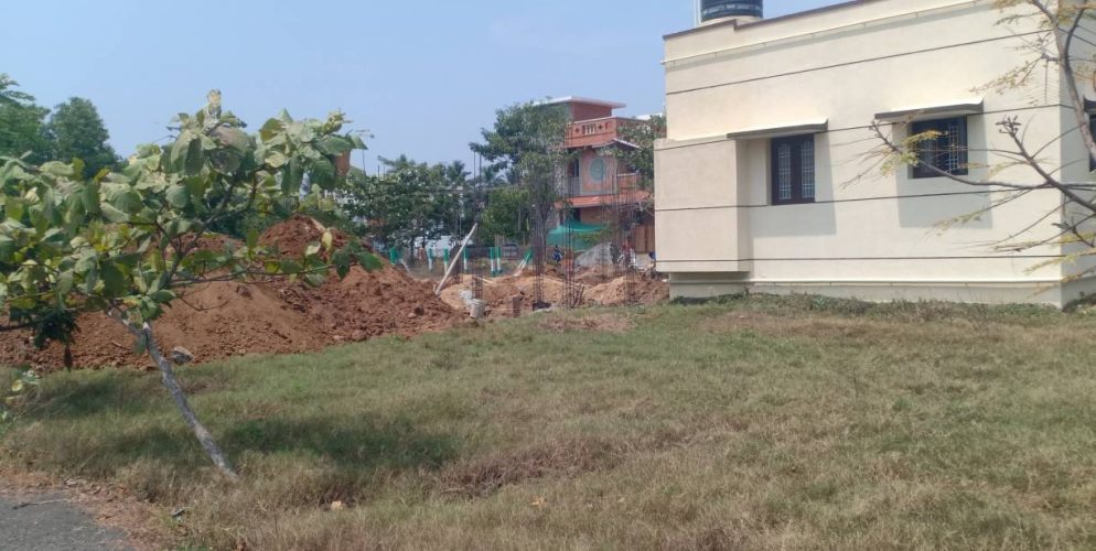 blooming garden plot