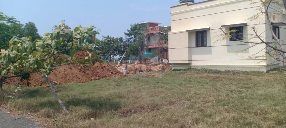 blooming garden plot