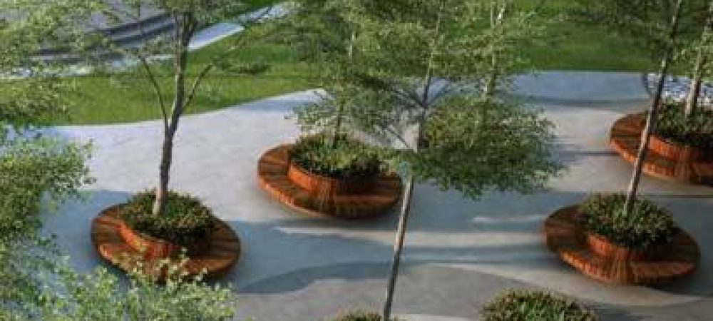casamia landscape garden and tree planting