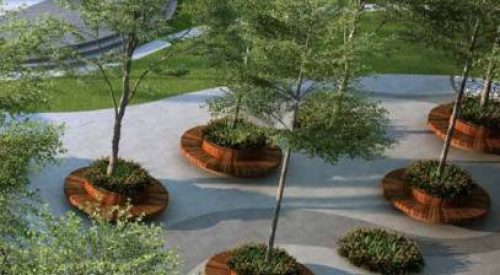 casamia landscape garden and tree planting