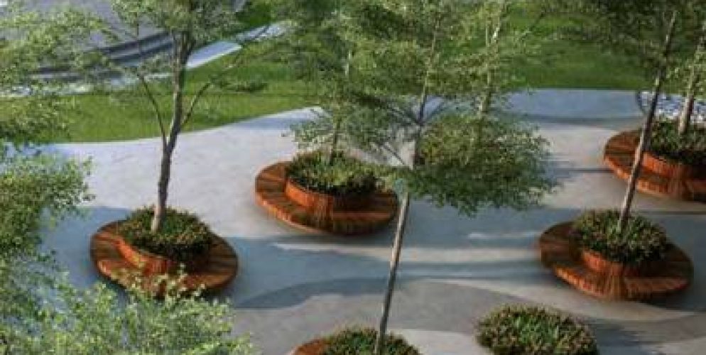 casamia landscape garden and tree planting