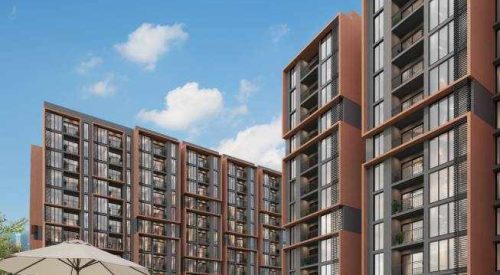 cheers swimming pool