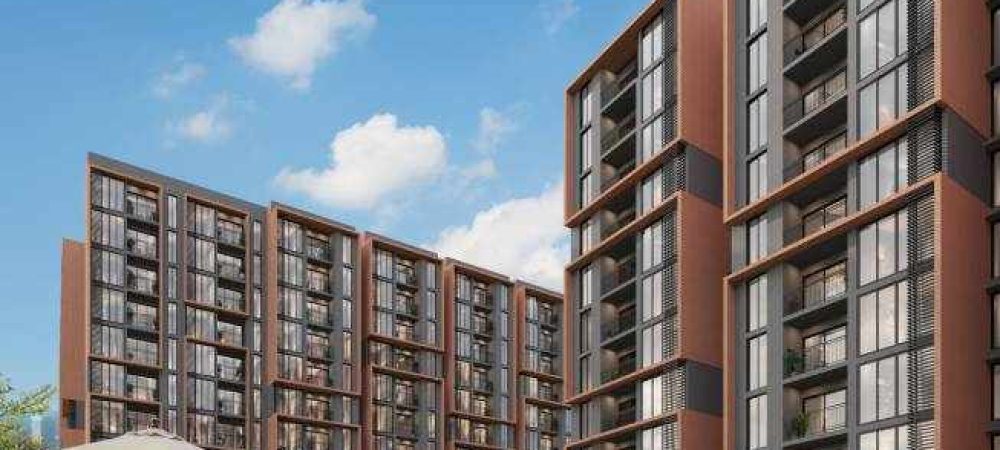 cheers swimming pool