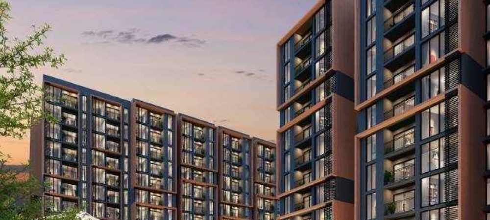 cheers swimming pool view 2