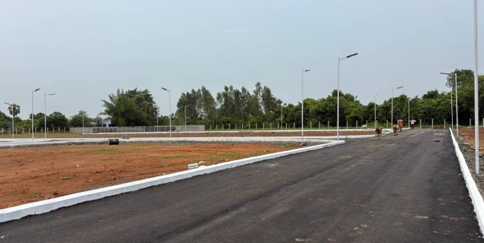 devaki ambal nagar Plot View 3