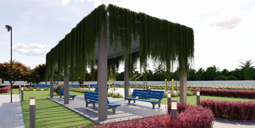 empire senior citizen sitout