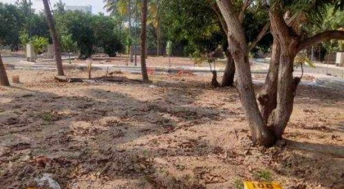 enchante plot view 2