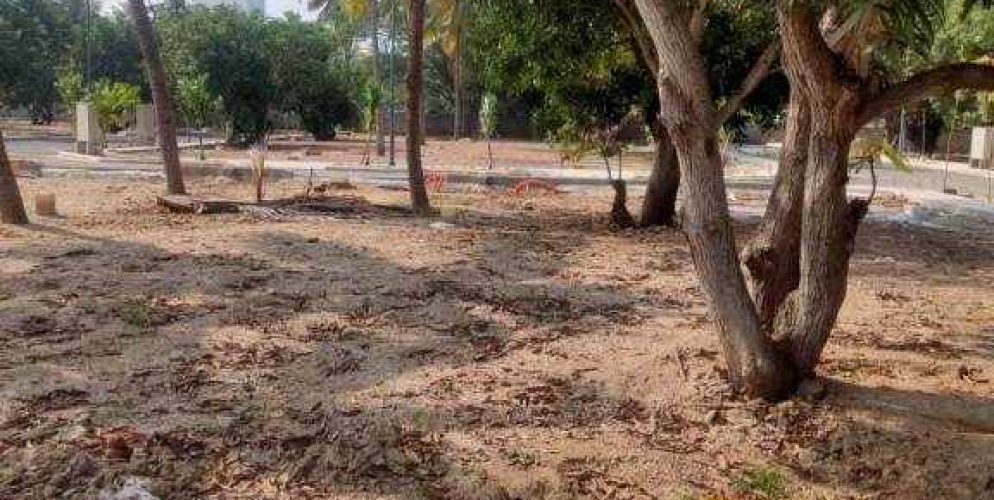 enchante plot view 2