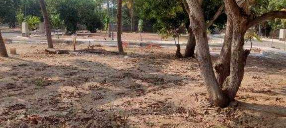 enchante plot view 2