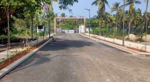 enchante plot view 4