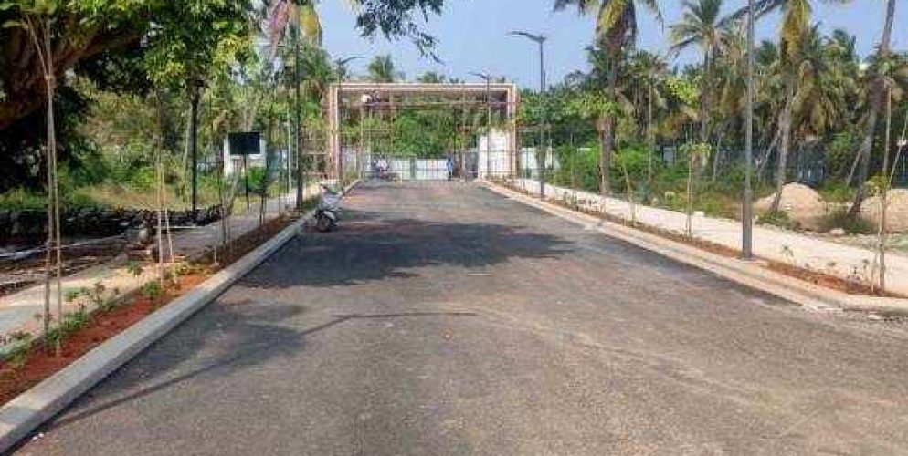 enchante plot view 4