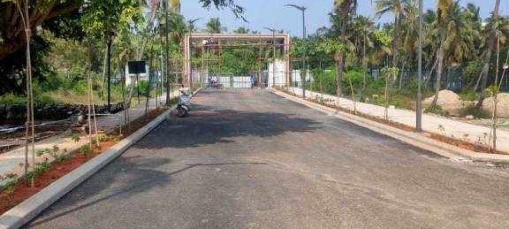 enchante plot view 4