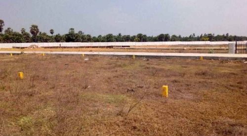 kuberan nagar plot view