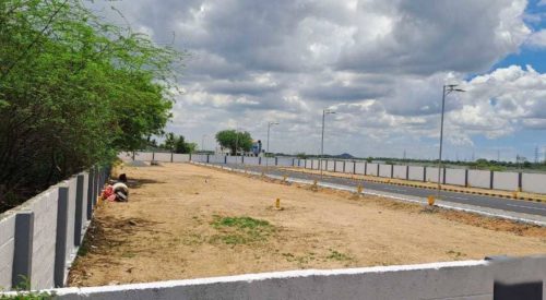 orchid-garden-elevation-161399749