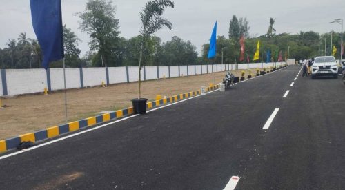 orchid-garden-plot-161399962