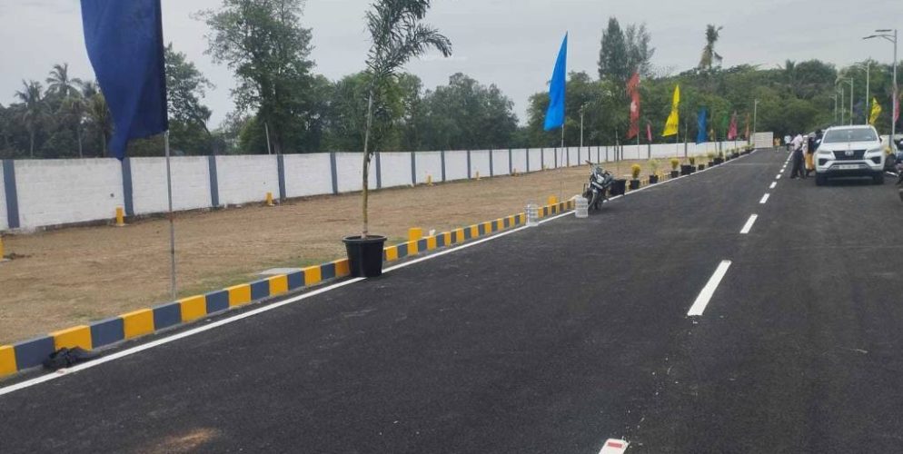 orchid-garden-plot-161399962