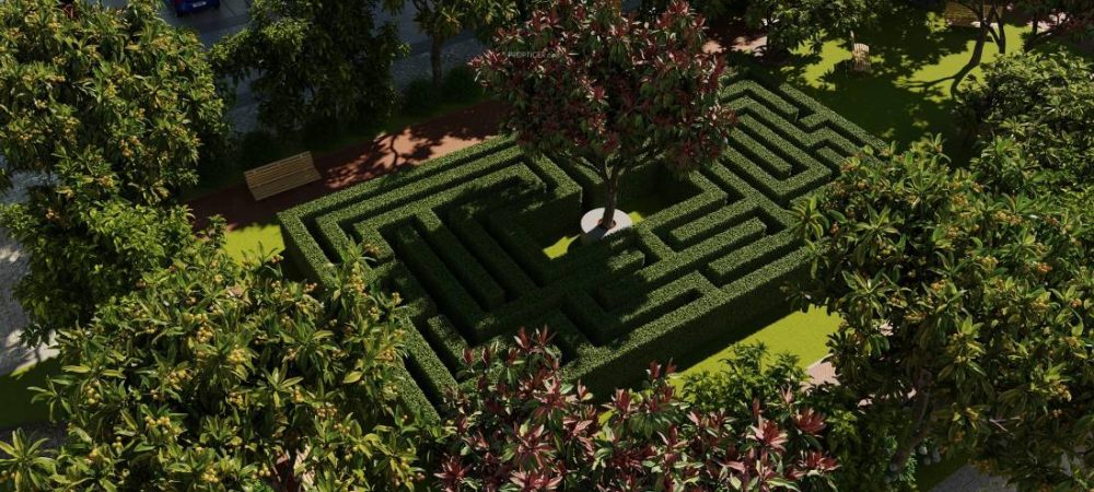 prosper landscape garden and tree planting