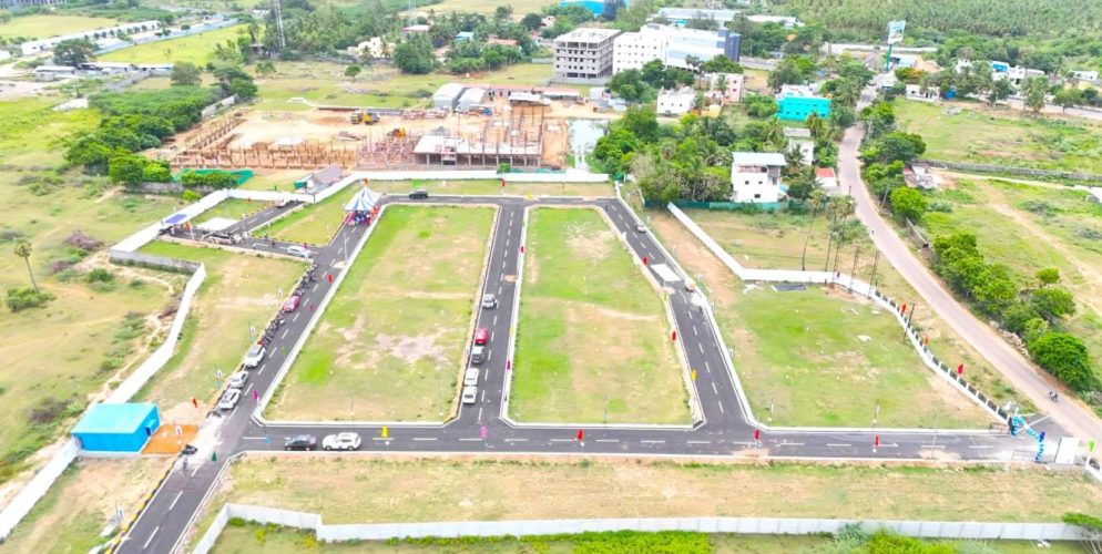 Royal C Plots