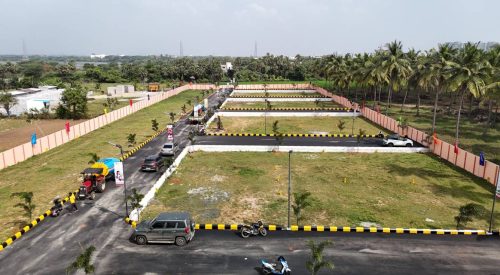 rps garden plot 5