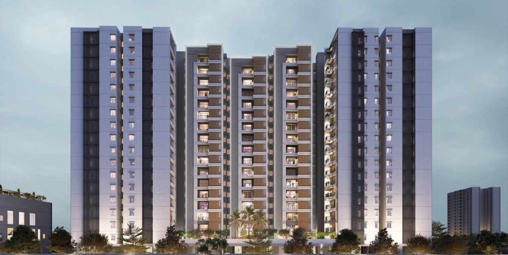 solitaire elevation 4