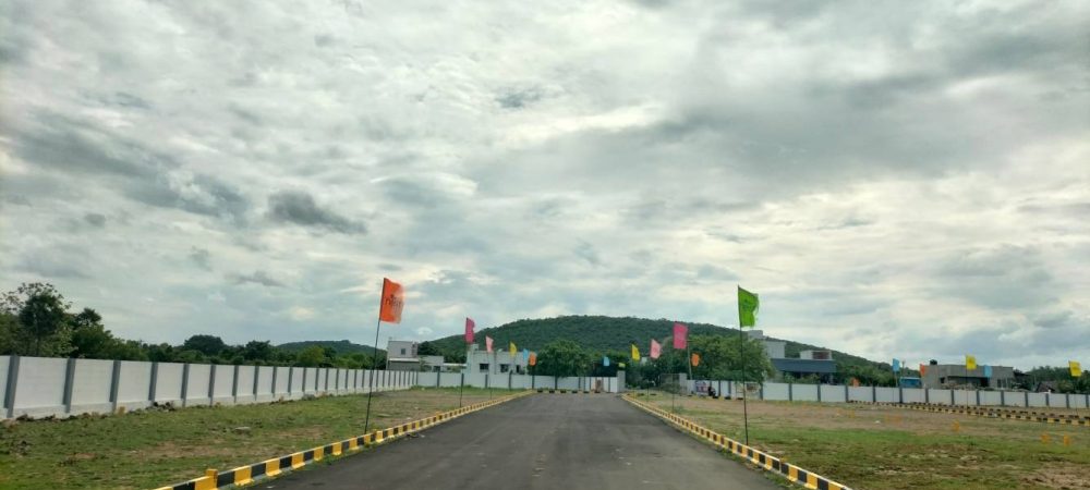 square phase 2 plot view 2