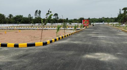 srinivasa palms plot 10