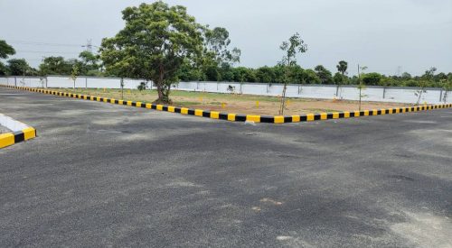 srinivasa palms plot 3
