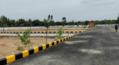 srinivasa palms plot 5