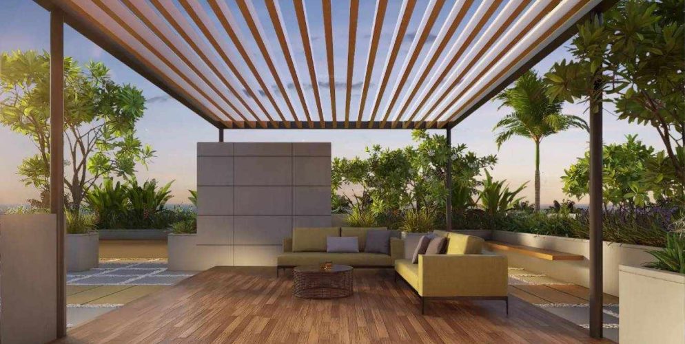 the edge senior citizen sitout