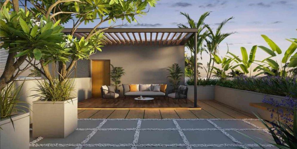 the edge senior citizen sitout view