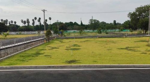 the royal plots 2