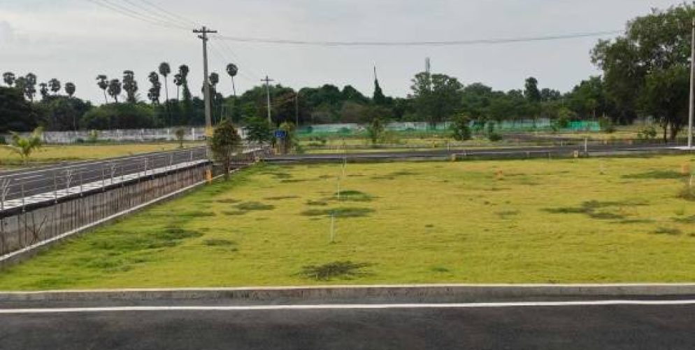 the royal plots 2