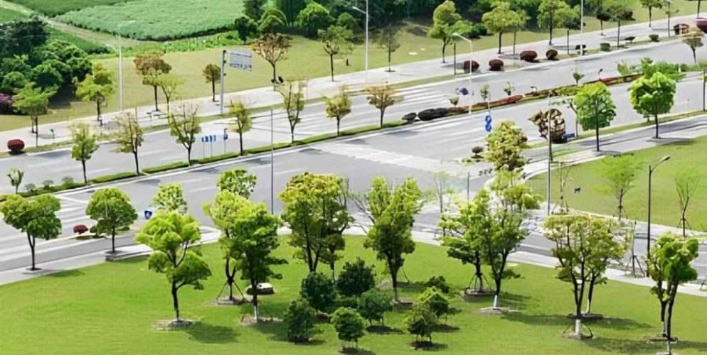 vanam at purva soukhyam plot View