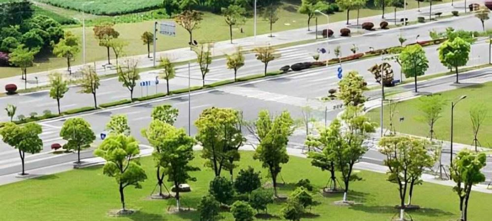 vanam at purva soukhyam plot View